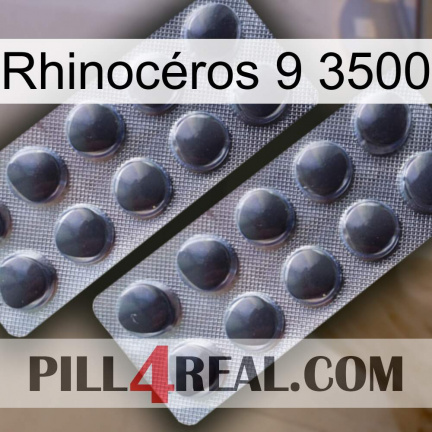 Rhinocéros 9 3500 31